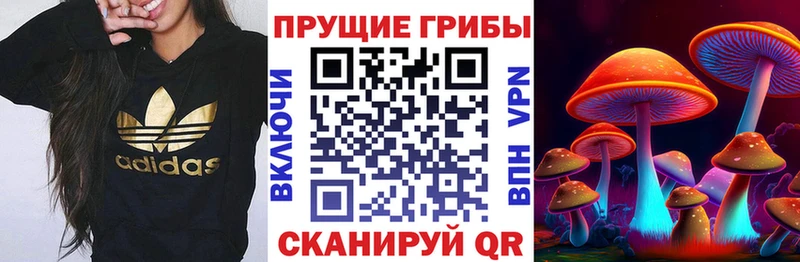 Галлюциногенные грибы Cubensis  Нязепетровск 